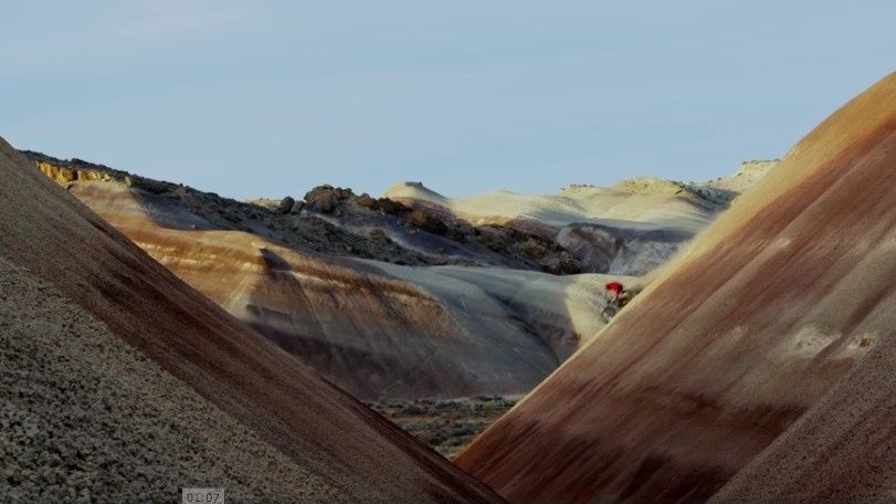 diamondback level link