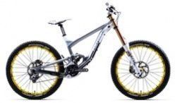 COLLOSUS DHX